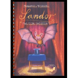 © 2015 Glückschuh Verlag
"Sandor. Not macht erfinderisch"
von Dorothea Flechsig